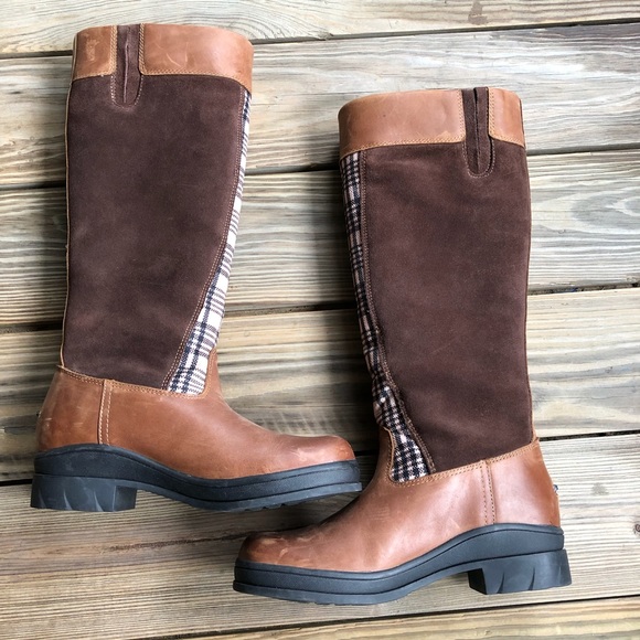 ariat windermere